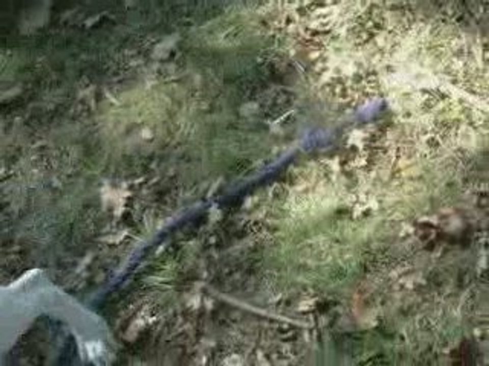 éduc à la maisoon2