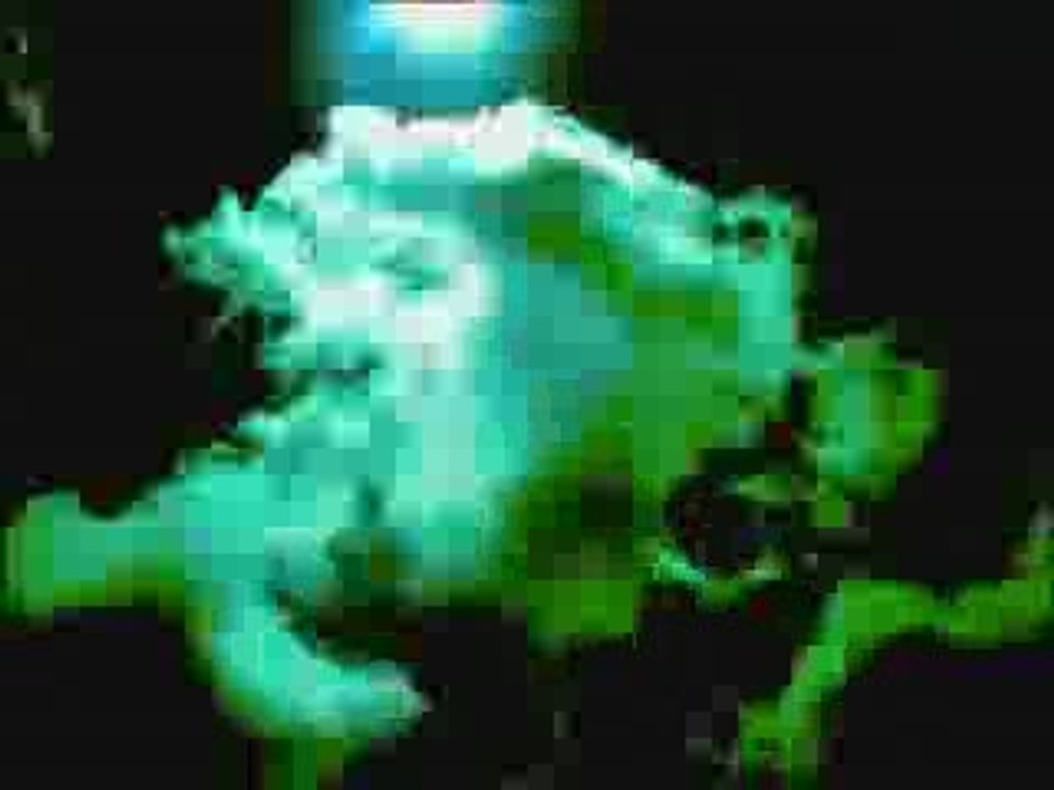 Uludağ oteller bölgesinden zirveye yürüyüş