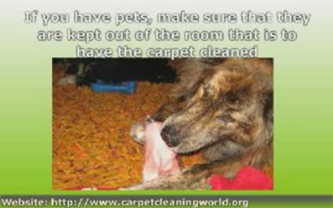 Using A Carpet Cleaning Service