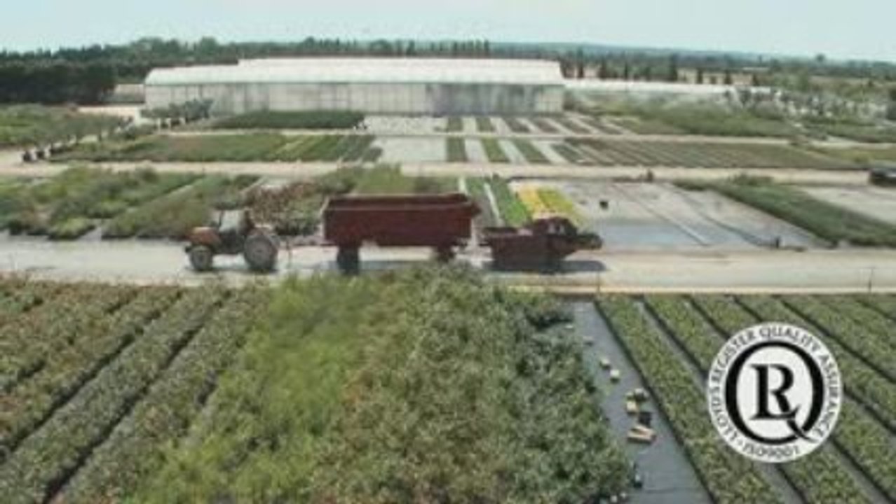 BRL pépinières du Bas Rhône