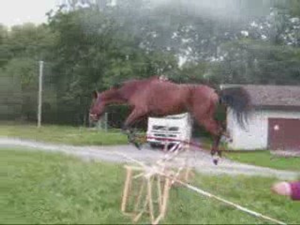 le 20 septembre 2009 saut en liberté Palma
