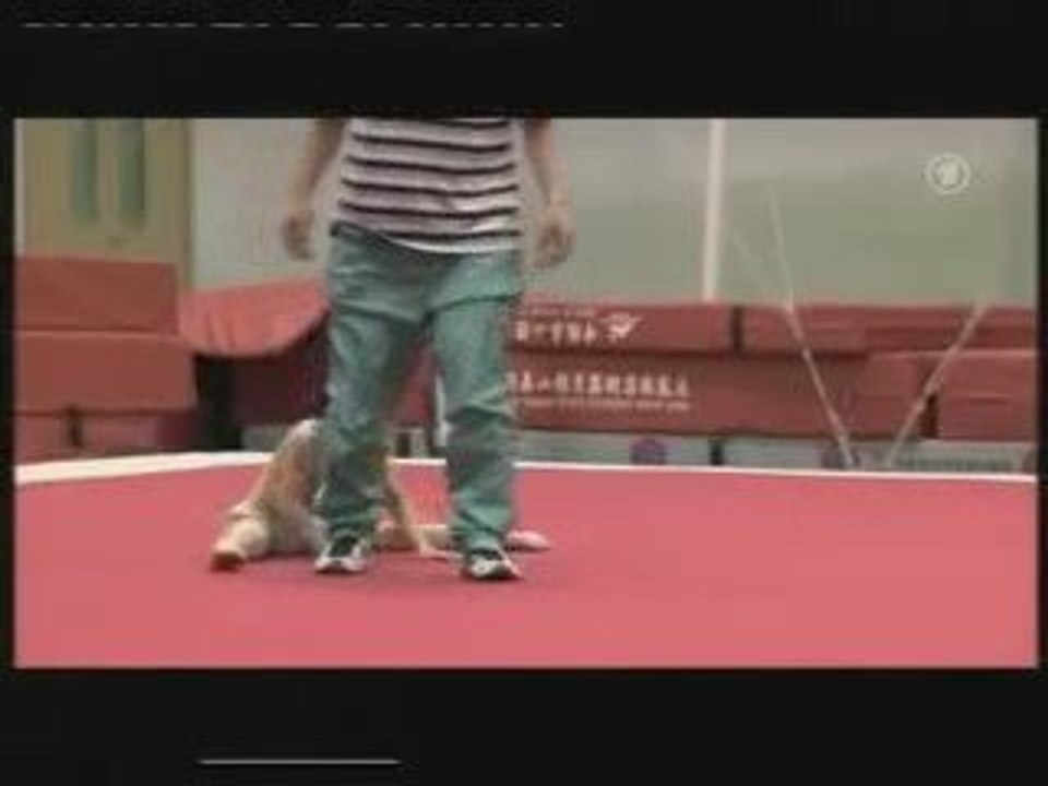 Gymnastics in China : Children suffering