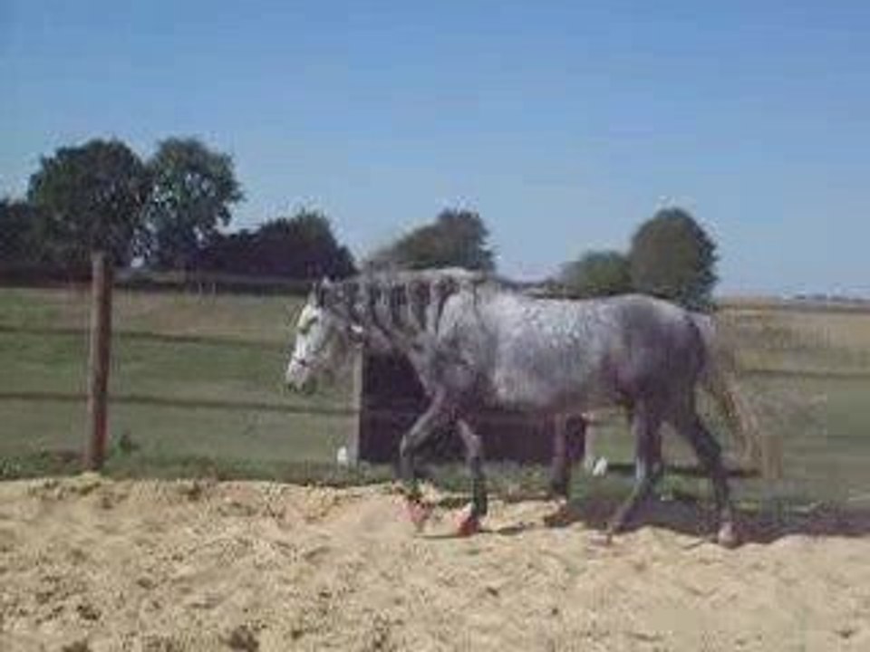 changement de direction en liberté