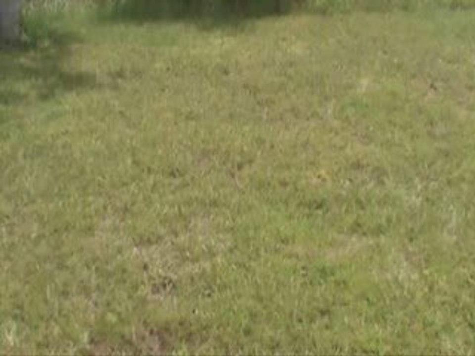 Is Grass Greener on The Other Side?