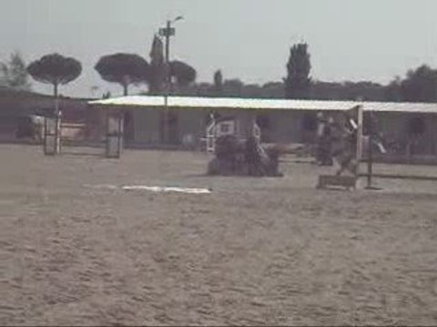 Queasy Des Devises au Cso du 20/09 In Ecuries Du Clos :D :D