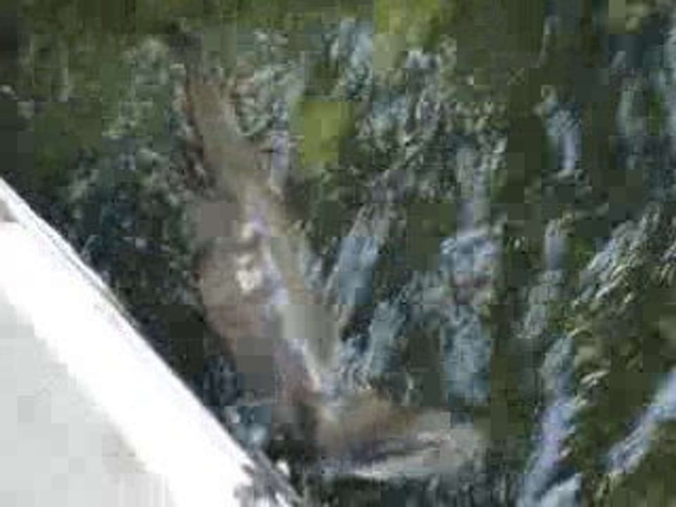Loutre