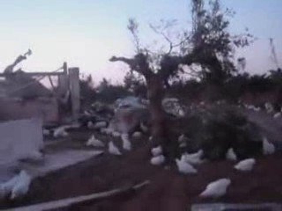 Inondations Tunisie-Filmé par des Tunisiens