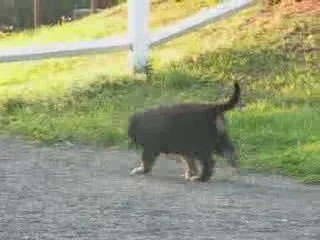 Enjoy à 10 semaines est guérie !!!! 6ème vidéo