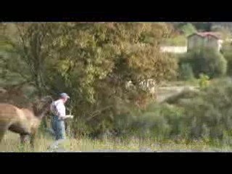 nouvelle venue au domaine de rabreux