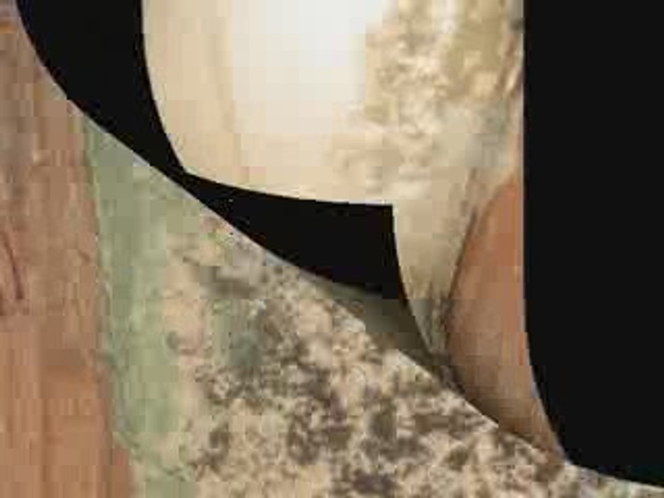 Toxic Mold in Homes, Mold Remediation/Removal