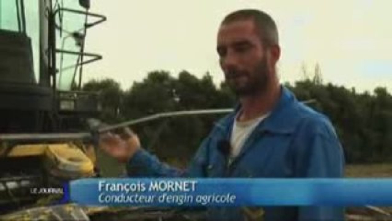 Le chanvre, nouvel isolant écologique (Sainte-Gemme-La-Plaine)