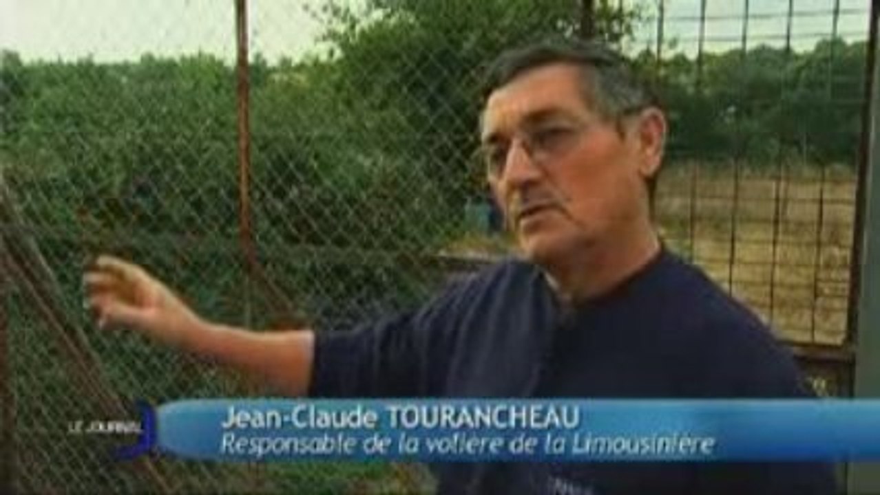 Les volières à faisan (Chaize-Le-Vicomte)