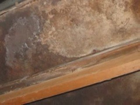 Water Damage Restoration, Mold Remediation!