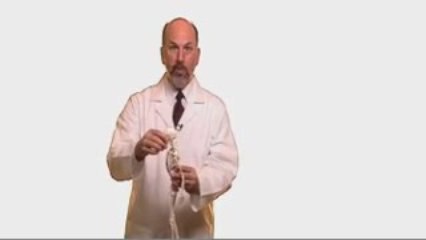 Introducing PostureJac:   Shoulders Down Spine Up