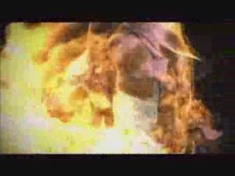 Resident Evil The Darkside Chronicles - TGS 2009 Trailer