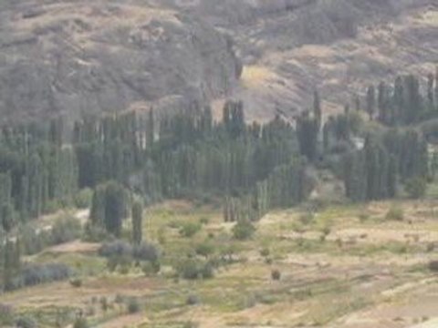 20 Eylül 2009 Bayramın 1.Günü Gazi kasabası kayseri ili deve