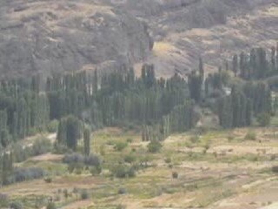 20 Eylül 2009 Bayramın 1.Günü Gazi kasabası kayseri ili deve