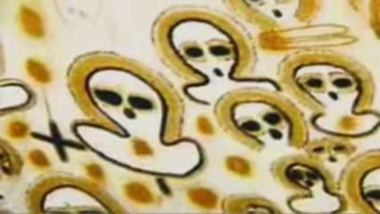 Los extraterrestres realizarán rescates antes del Apocalipsi