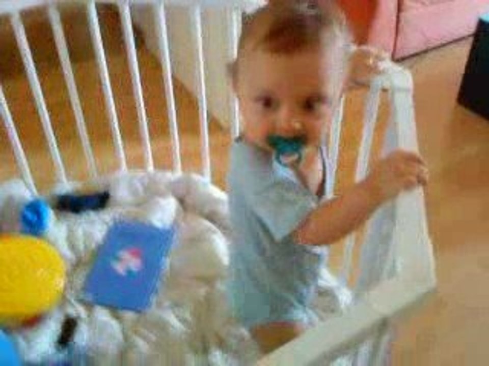 Enzo et la jungle