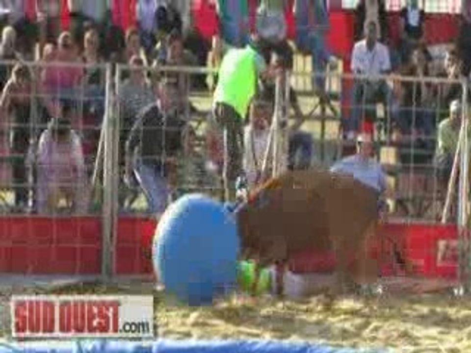 Toros piscine à Bordeaux