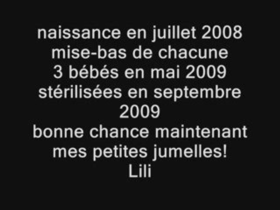 Chignole et Minette