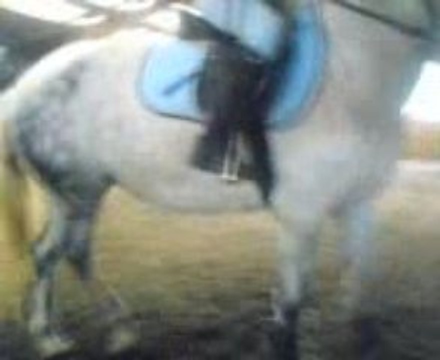 Cours du l8.o9.o9 Transitions Arrêt-Trot