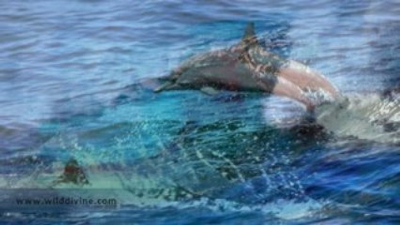 Meditation for the End of Summer