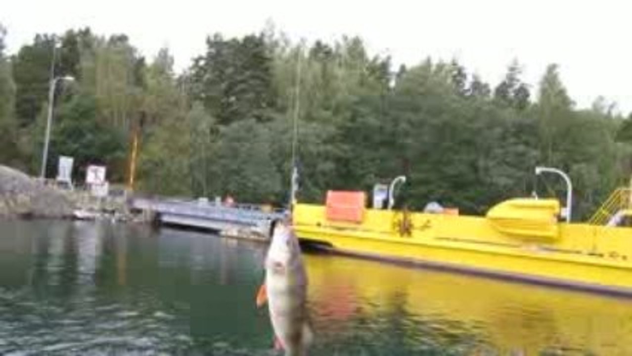 Bugunku Balik avim & fumeleme 24.09.2009