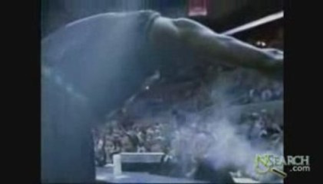 Adidas Shoes - Garnett Ad