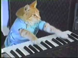 Play Omiobama Off Keyboard Cat