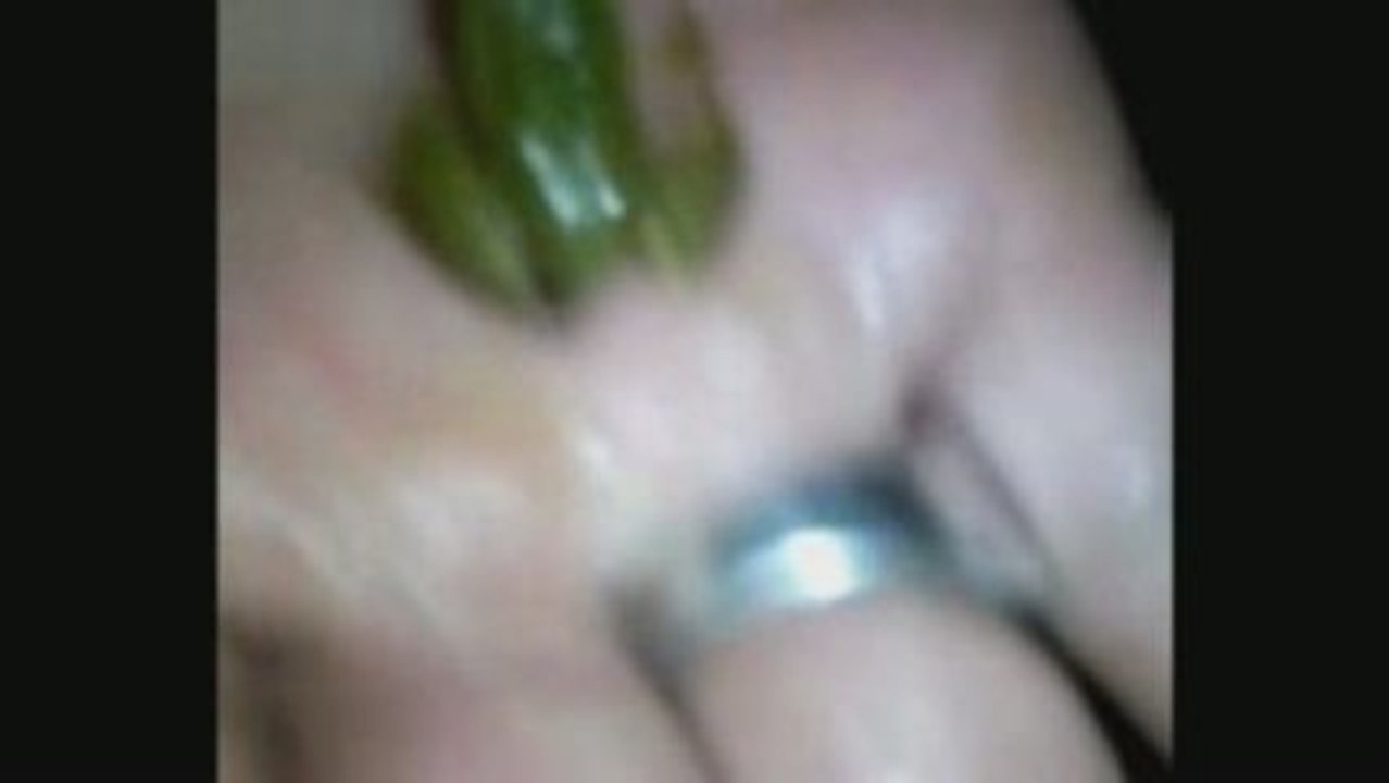 Grenouille party