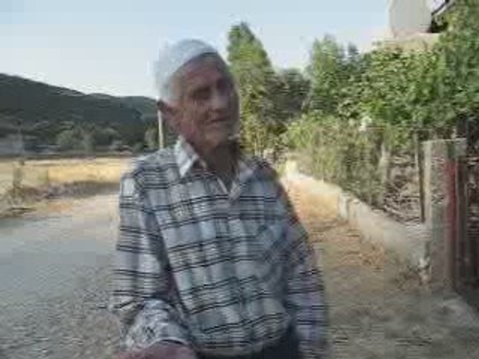 Salih Dayı Sinemada