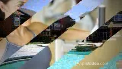 The Indigo on Forest Apartments-Dallas Apartments