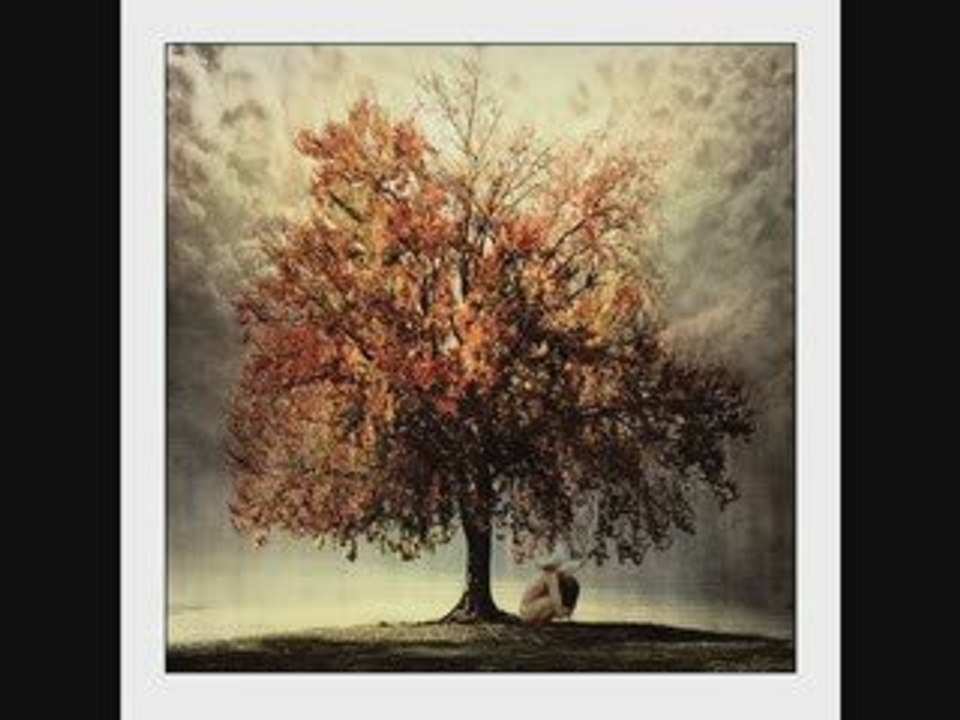 Michał Bajor - Nie ma już nic..........