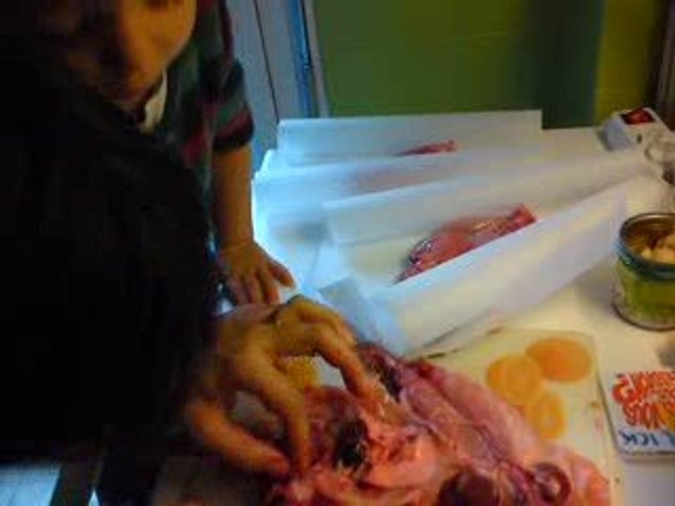 Sarah fait de l'anatomie