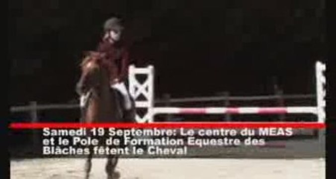 Fête du Cheval 2009. Repportage a Pierrelatte