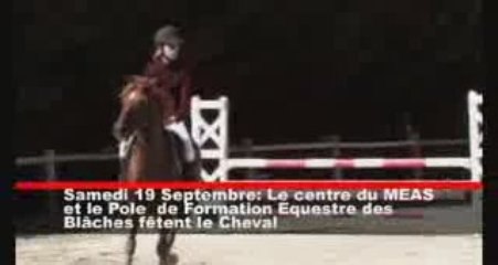 Fête du Cheval 2009. Repportage a Pierrelatte