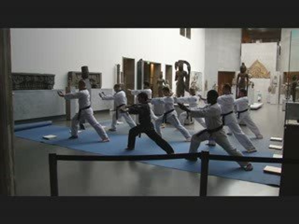 démonstration taekwondo Musée Guimet