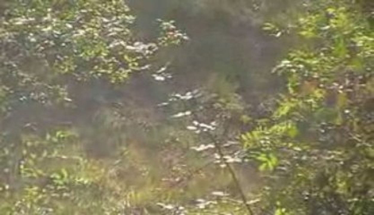 MOV005