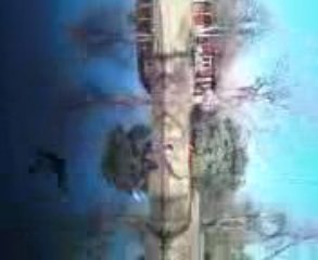 Swinging Gone Wrong
