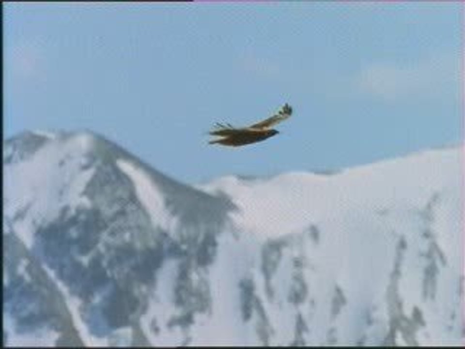 Test video