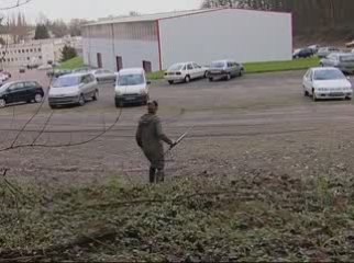 Nomades TV: L'animal dans la ville