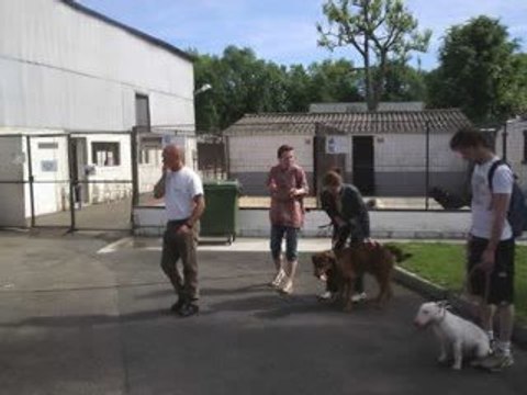 Journée mondiale des animaux 4 octobre SPA