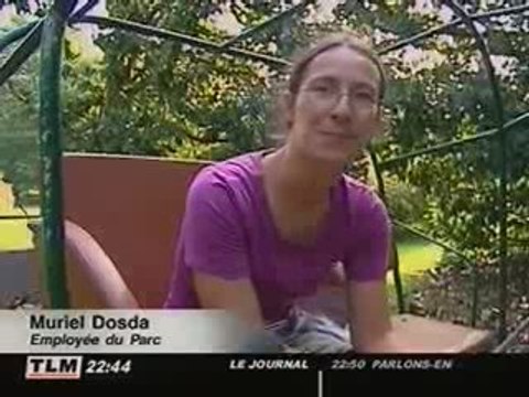 Collecte des déchets : le grand retour du cheval (Lyon)