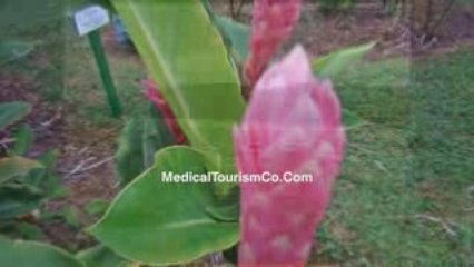 Dental Work Costa Rica