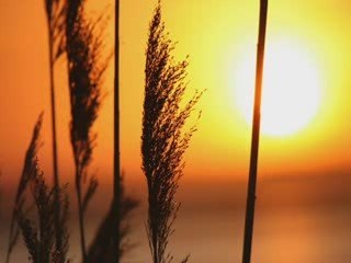 To nic kiedy płyną łzy...