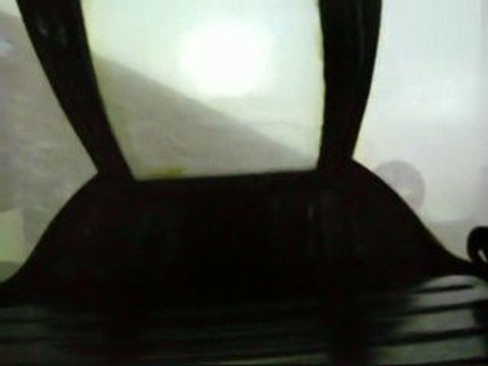 THE JOY OF FLYING by Dr. Gertes