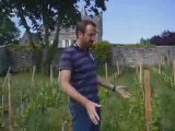 Domaine des Roches Neuves - Thierry Germain 2/3