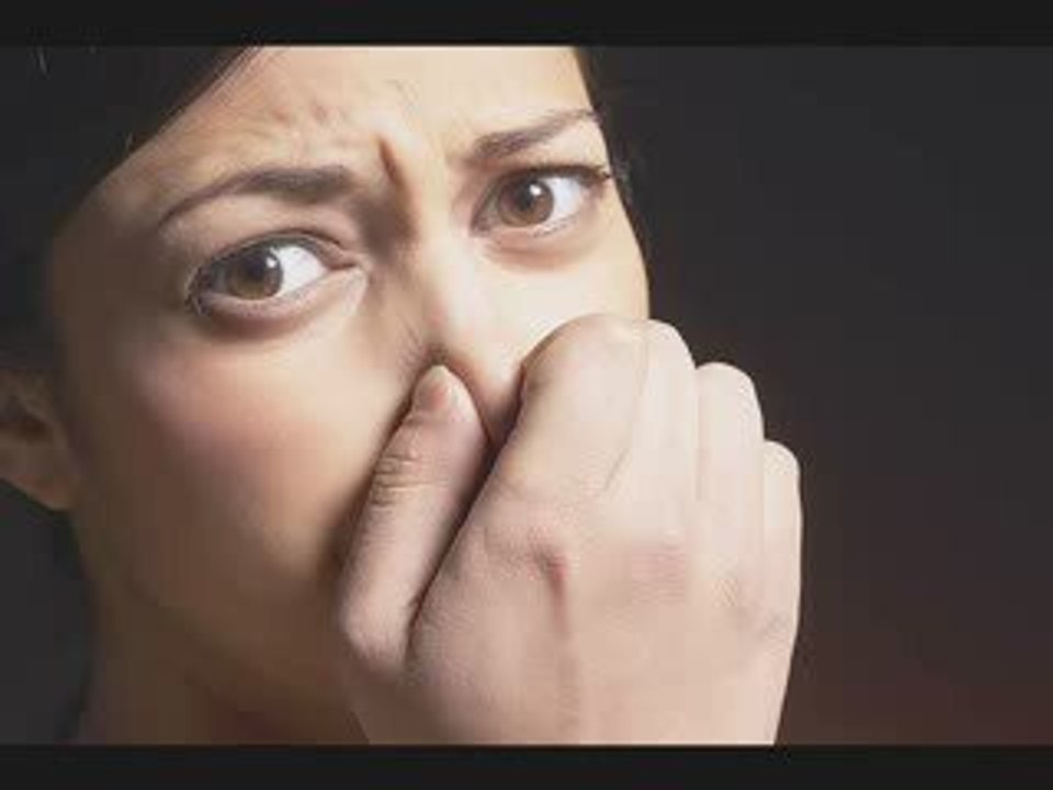 La chatte (version longue) parodie puff daddy