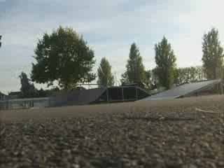 Out 4 extremevtt bus to fakie roll back